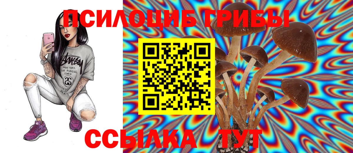 Псилоцибиновые грибы GOLDEN TEACHER Самара