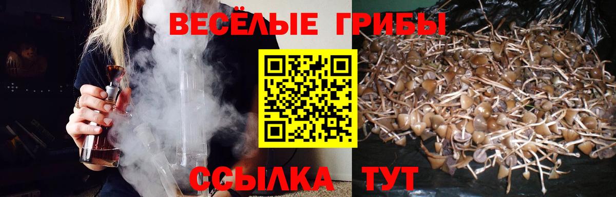 Самара  Галлюциногенные грибы ЛСД  Вход с VPN 